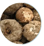 Konjac Extract Fiber